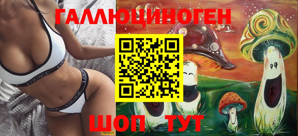 Галлюциногенные грибы Psilocybine cubensis Кыштым